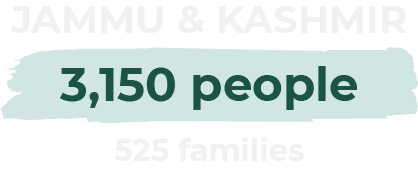 31150 people in Kashmir