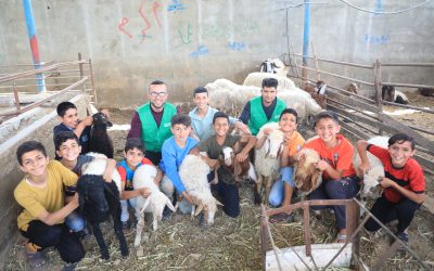 A Guide to Celebrating Eid Qurbani in Canada 2023 – How to Have a Meaningful Celebration