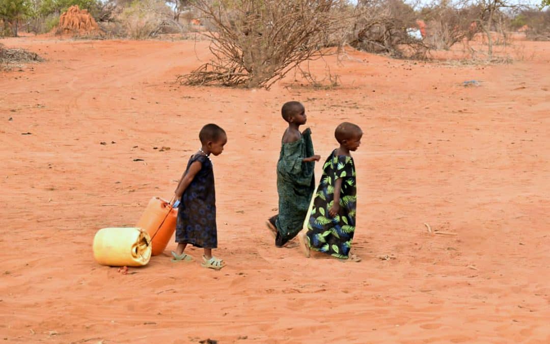 Understanding the Global Water Crisis & How It Impacts Different Communities Around the World